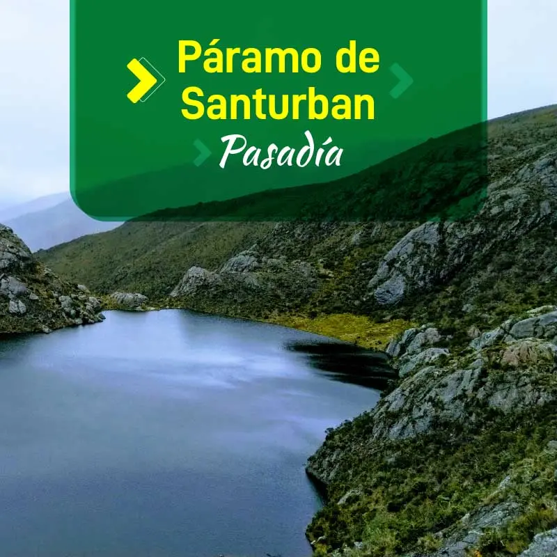 Maravillas del Páramo de Santurban - Pasadía